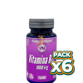 Pack 6x VITAMINA B12 "NUEVA FORMULA" 60 CAPSULAS VEGETALES YNSADIET